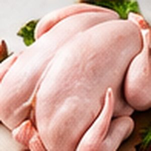 Chicken Breast Fillet